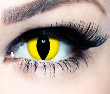 Yellow Cat Eye